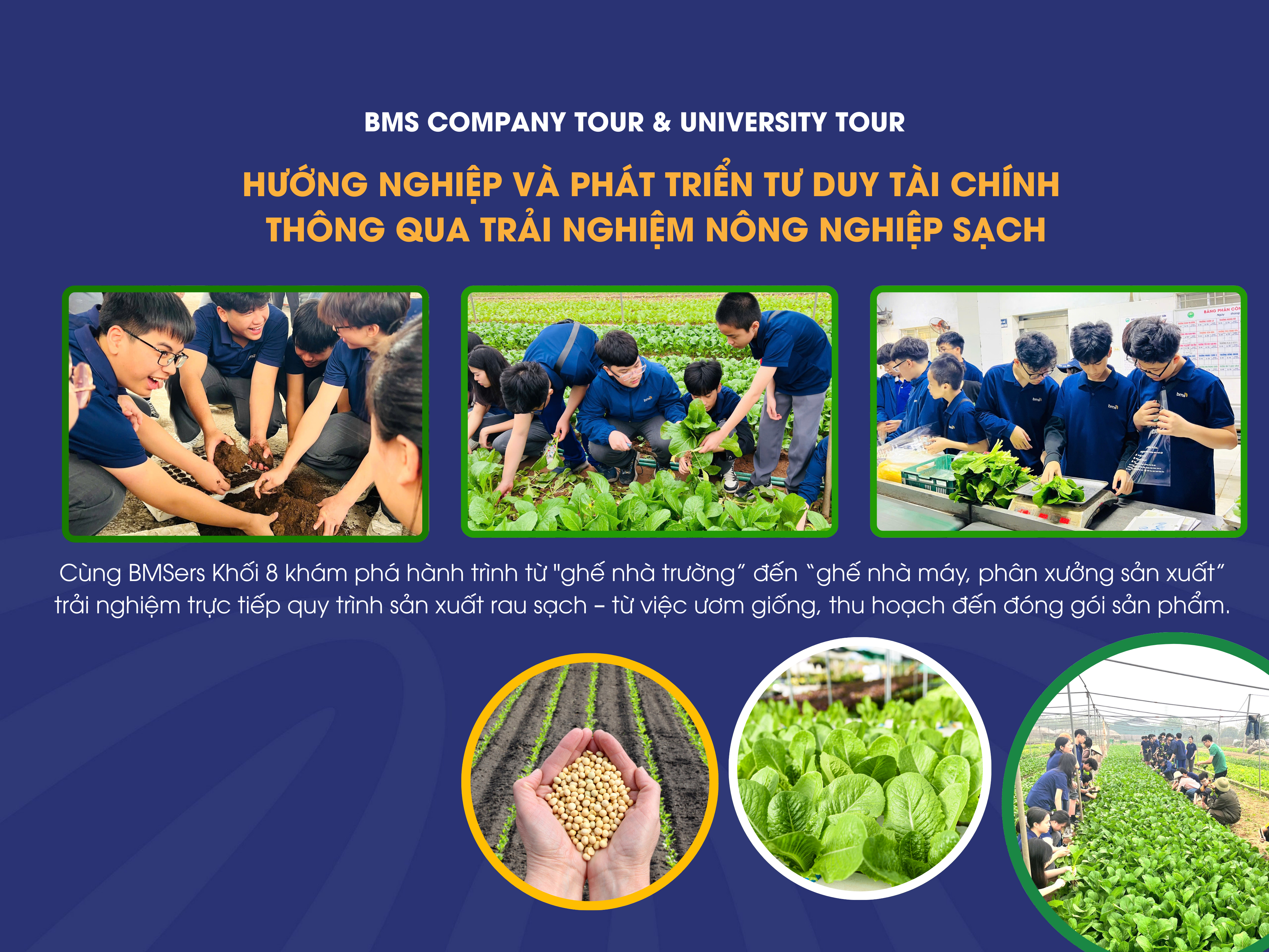 Hướng nghiệp và phát triển tư duy tài chính thông qua trải nghiệm nông nghiệp sạch