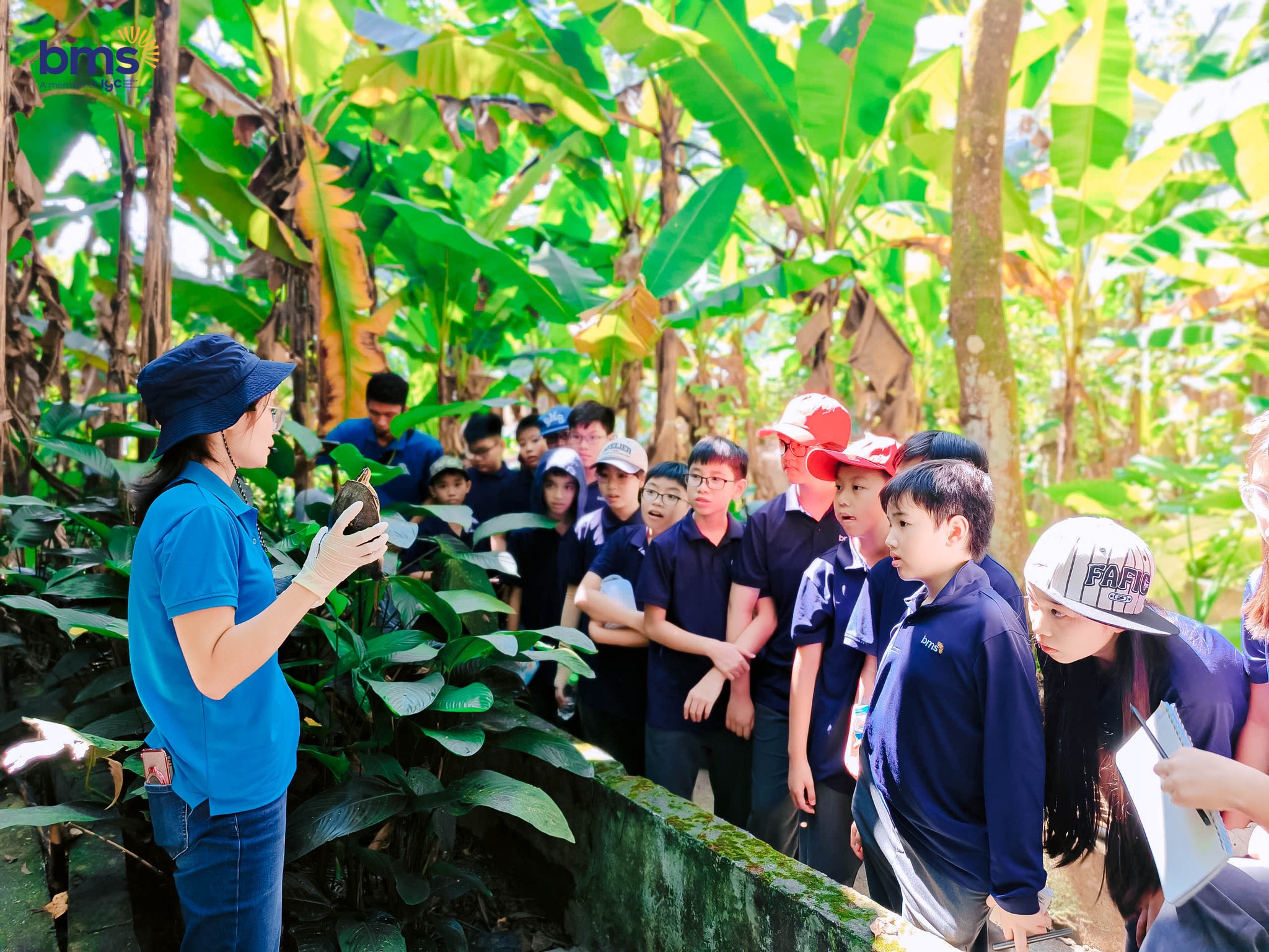 Cùng BMSers khối 6 khám phá thiên nhiên qua dự án “Hành trình bảo tồn màu xanh – Journey to Save Green”